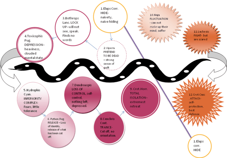 The essence of the snakes