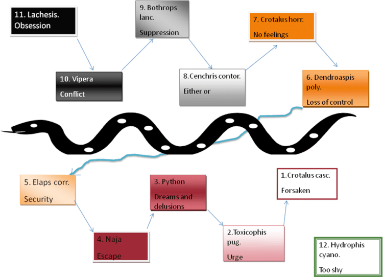 * Sexuality, Jealousy and suspicion