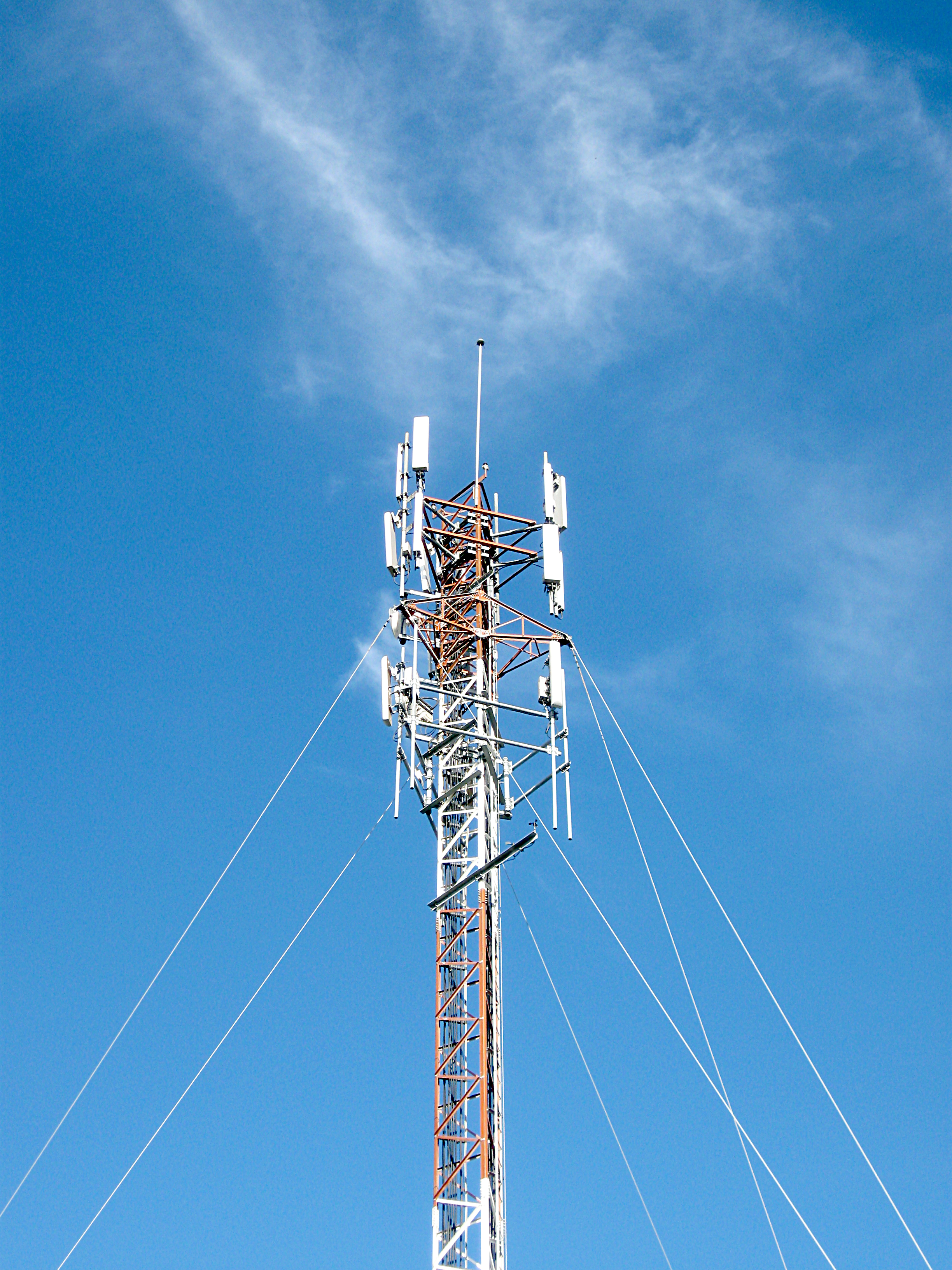 courtesy of morguefile.com