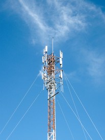 courtesy of morguefile.com