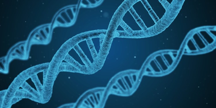 dna-1811955_960_720